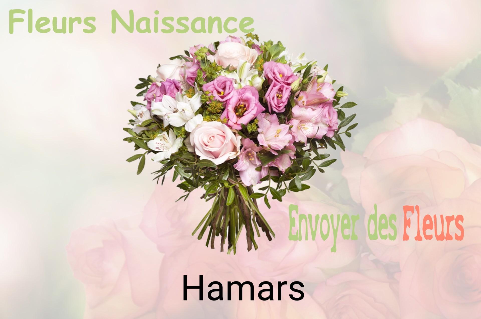Bouquet de fleurs de naissance livré à Hamars
